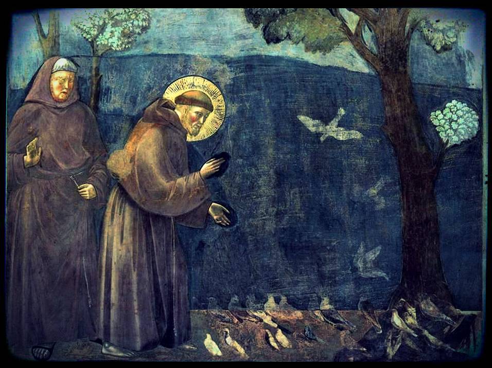 Franz von Assisi predigt zu den Vögeln, Giotto