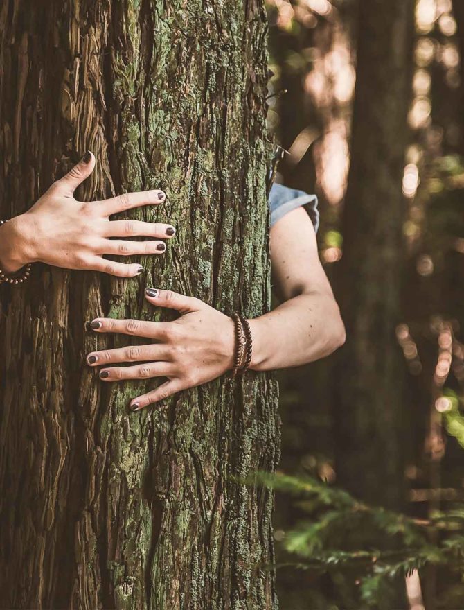 Bäume umarmen ist nicht wirklich eine Alternative zur Umarmung eines Freundes