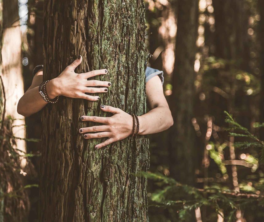 Bäume umarmen ist nicht wirklich eine Alternative zur Umarmung eines Freundes