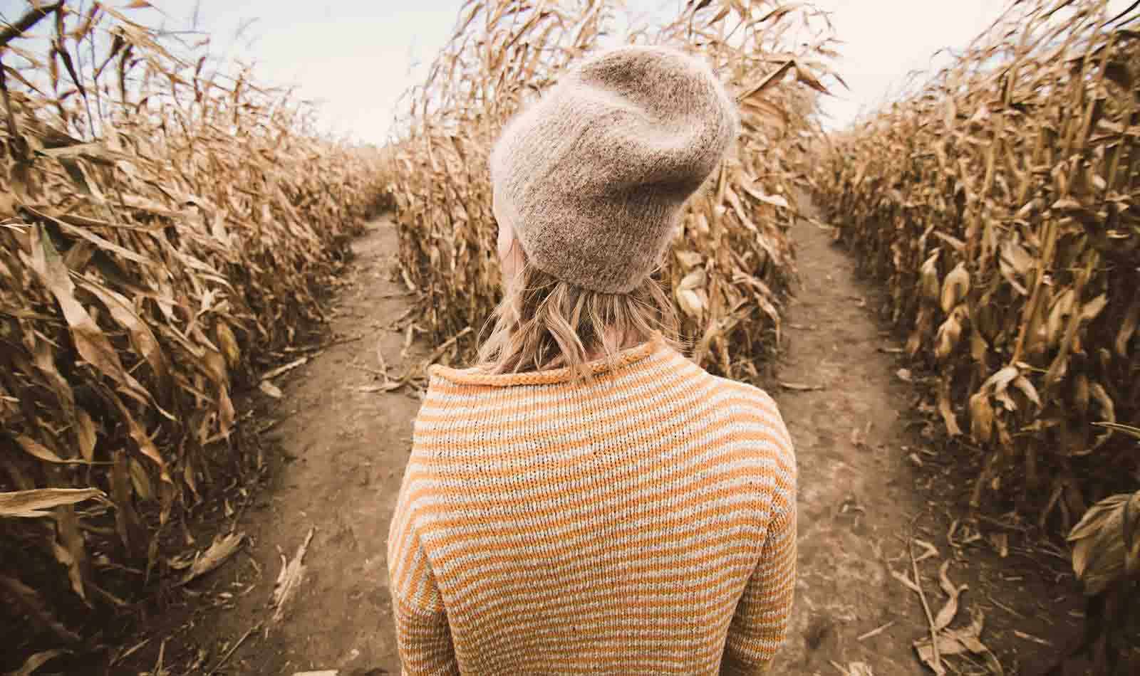 junge Blonde Frau steht in einem Maisfeld vor einer Weggabelung