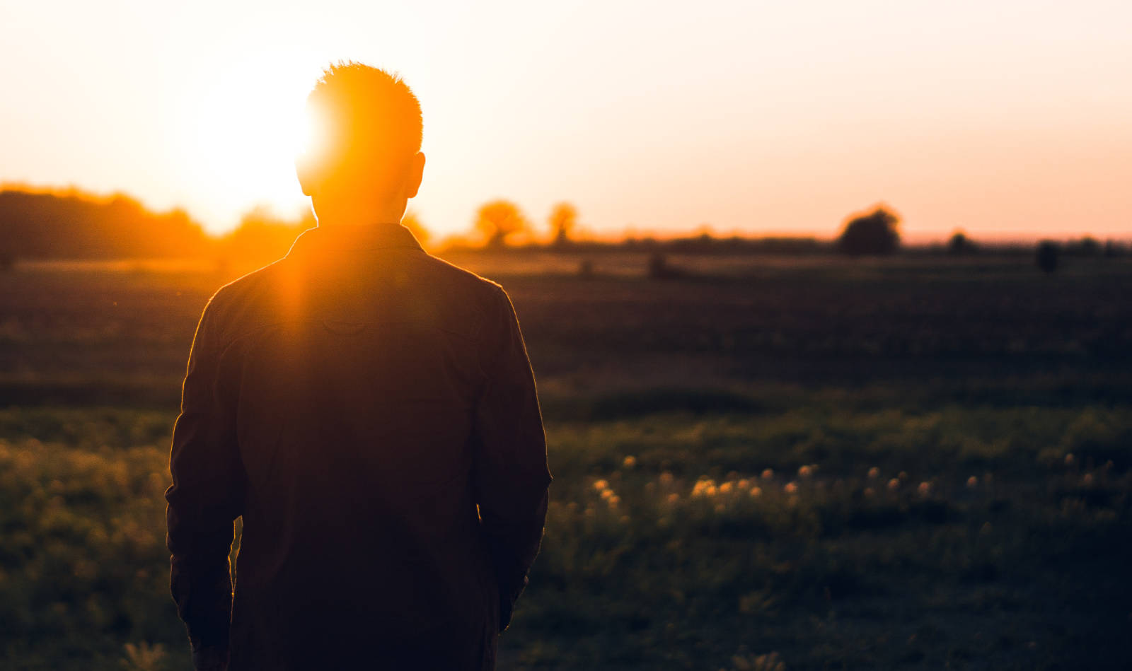 Mann blickt über Feld in Sonnenuntergang