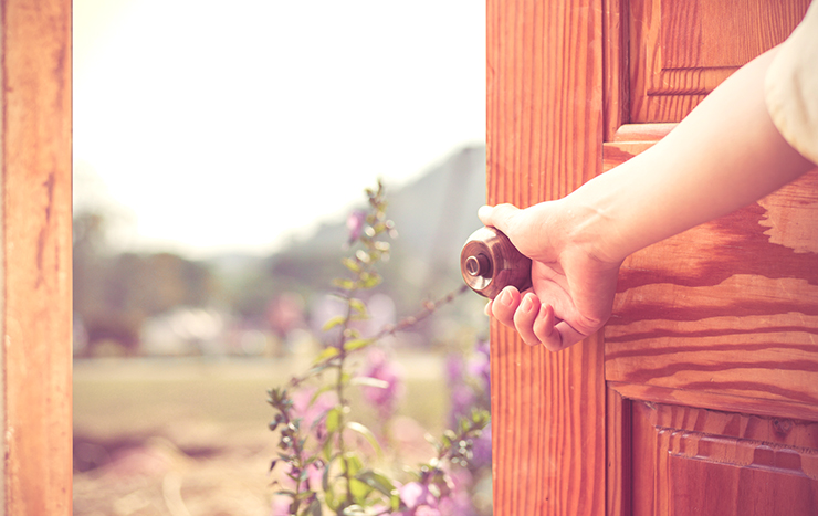 Hand öffnet eine Holztür, die einen Blick auf eine Blumenwiese öffnet