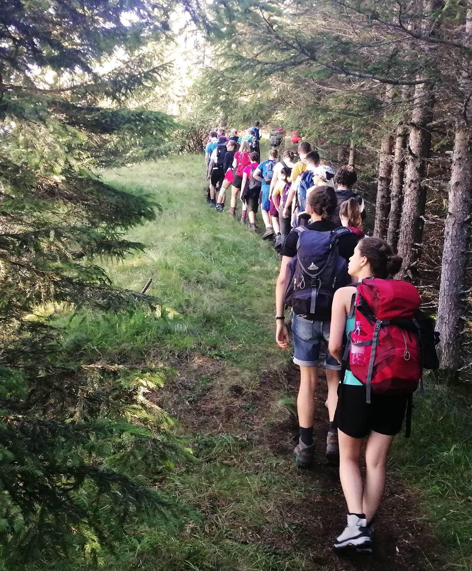 Junge Erwachsene bei einer Wanderung durch die Wälder in Rückansicht