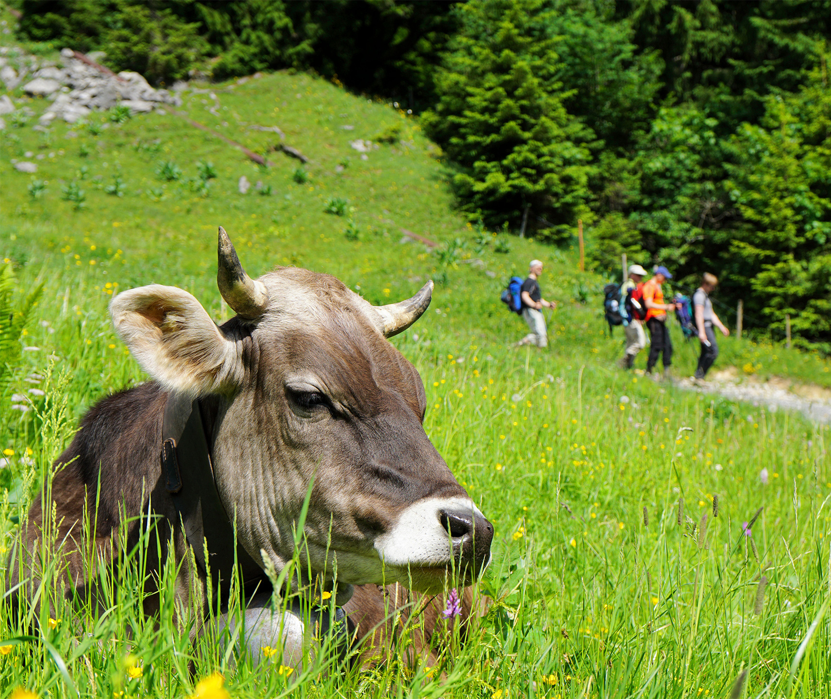 Sommertraum – Wochenende im Allgäu