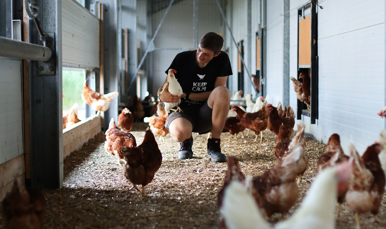 Junger Mann mit schwarzem T-Shirt und weißer Henne im Arm im Hühnerstall